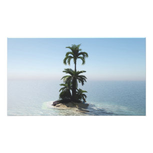 30" x 24" paper poster: "Stranded" image Photo Print