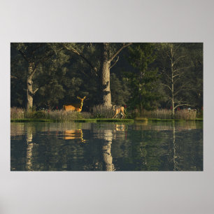 30" x 24" paper Poster w' "Startled" image