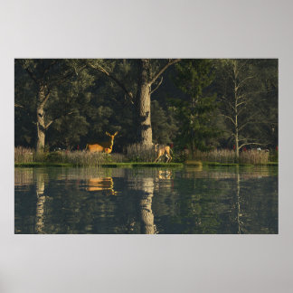 30" x 24" paper Poster w' "Startled" image