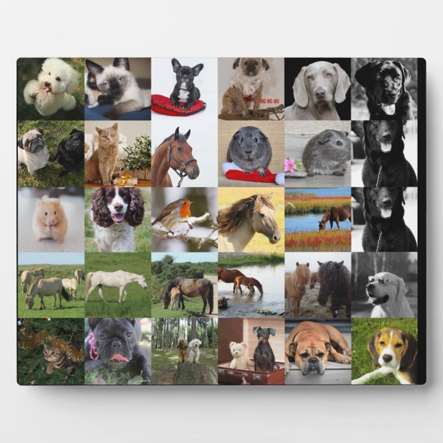 30xPhoto Colage Plaque - ANY Occasions (Front)