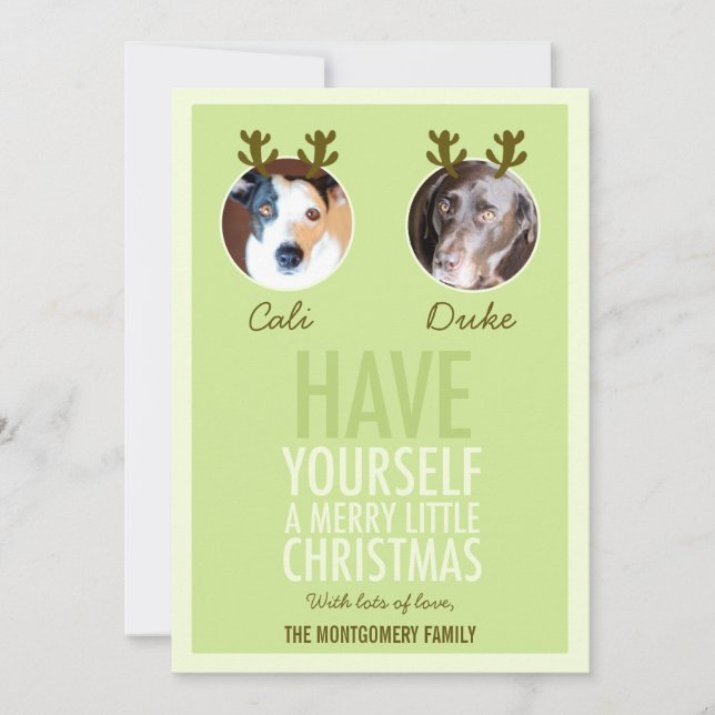 311 Moss Green Pet Antler Holiday Photo Card (Front)