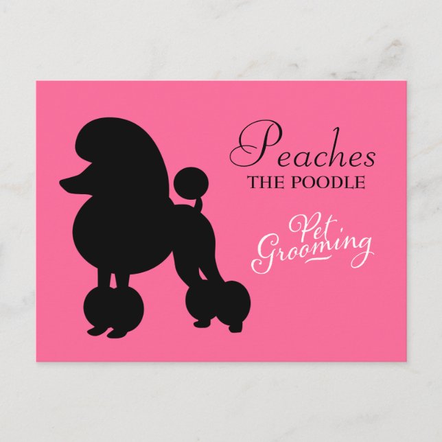 311 Peaches the Poodle Pet Grooming Postcard (Front)