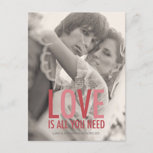 311 Photo Love is all You Need Red Pink Postcard (Front)