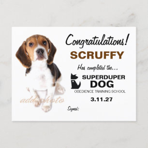 311-Super Duper Dog Certificate Postcard