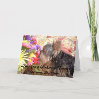314855-7661677, I got you a Yorkshire Terrier f... Card