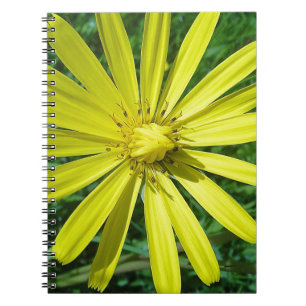 318.JPG NOTEBOOK