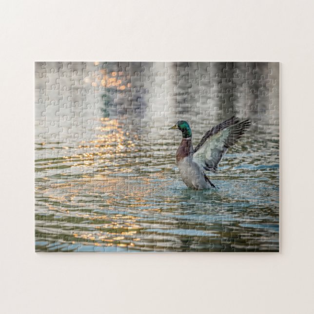 3274-Male Mallard Splashing in Pond Puzzle (Horizontal)