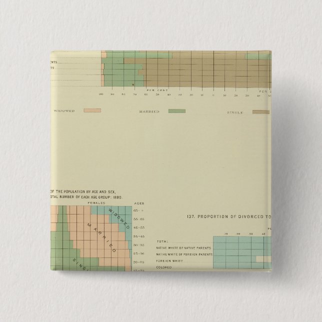 32 Conjugal condition, divorced 1890 2 Inch Square Button (Front)