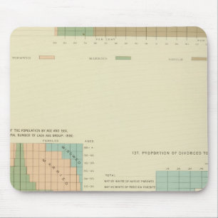 32 Conjugal condition, divorced 1890 Mouse Pad
