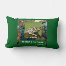 33 x 53.34 cm SAPO Lumbar