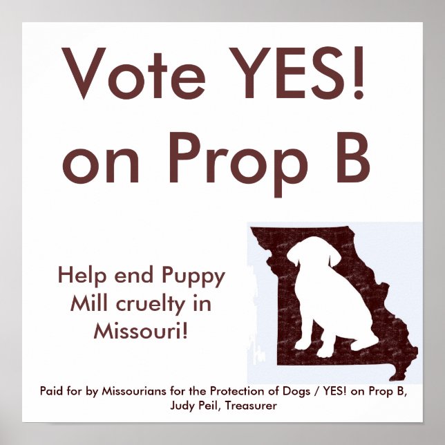 35" by 35" - YES! on Prop B Poster (Front)