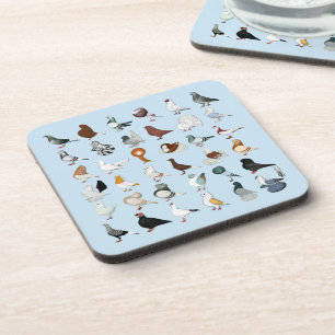36 Pigeon Breeds Coaster