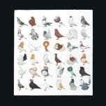 36 Pigeon Breeds Notepad<br><div class="desc">The world is full of hundreds of varieties and colours of domestic pigeons... here is but a sample!</div>