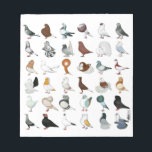 36 Pigeon Breeds Notepad<br><div class="desc">The world is full of hundreds of varieties and colours of domestic pigeons... here is but a sample!</div>