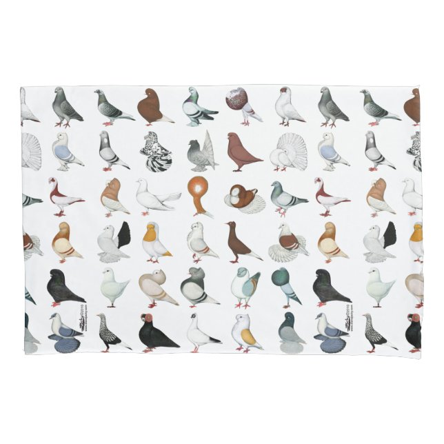 36 Pigeon Breeds Pillowcase (Front)