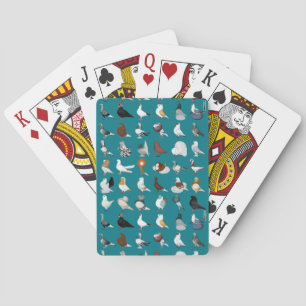 36 Pigeon Breeds Playing Cards