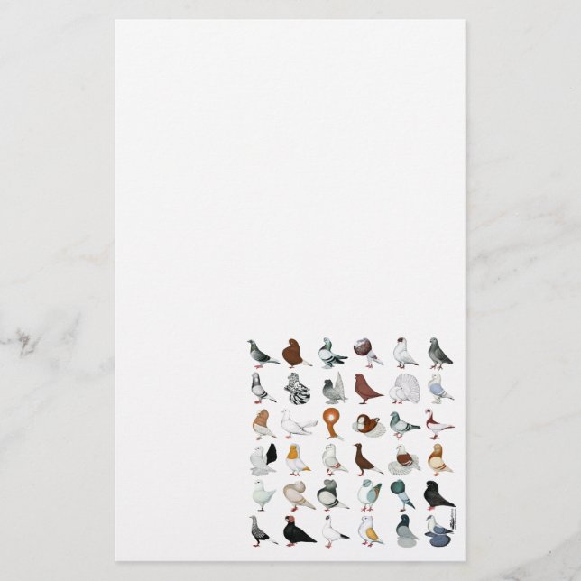 36 Pigeon Breeds Stationery (Front)