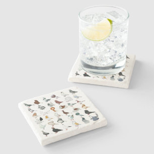 36 Pigeon Breeds Stone Coaster