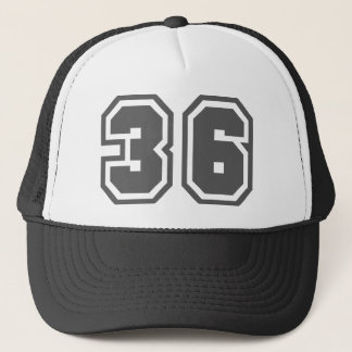 36 TRUCKER HAT