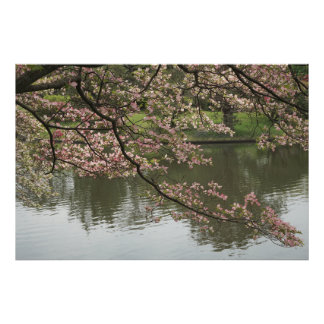 36"x24" Pink Dogwood Photo Print