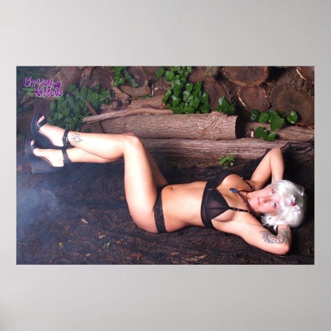 36" x 24" Chrissy Kittens Heels and Logs Poster (Front)