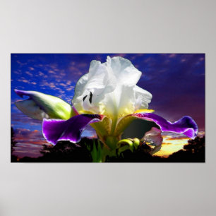 36" x 24", Value Poster Paper (Matte)