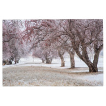 36x24 Mur métallique