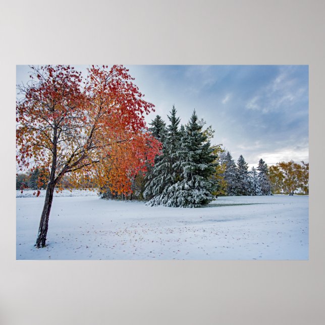 36x24 Wall Poster (Front)