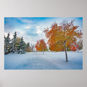 36x24 Wall Poster