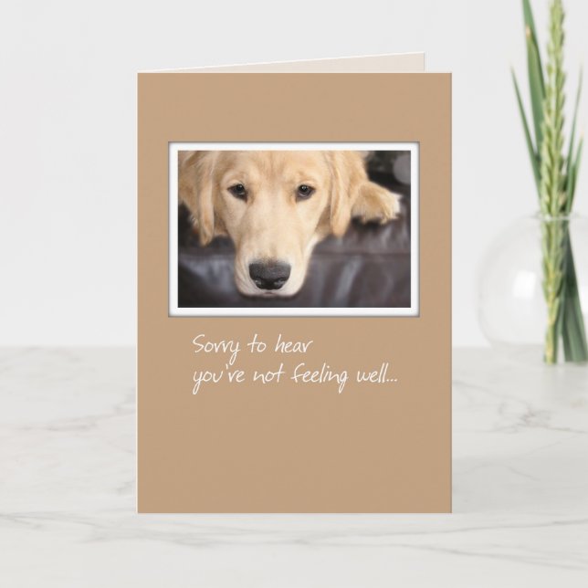 3780 Get Well, Dog Card (Front)