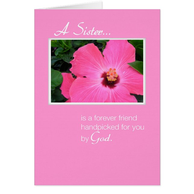 3829 Soeur rose (Devant)