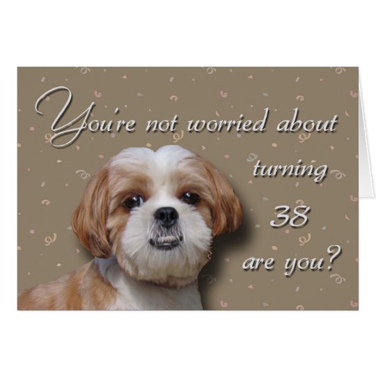 38th Birthday Dog Card