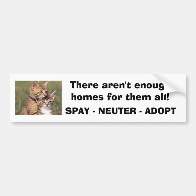 392324005_d000fde36f, There aren't enough homes... Bumper Sticker (Front)