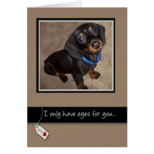 3938 Aimez votre chien