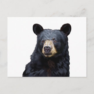 3 (10) POSTCARD