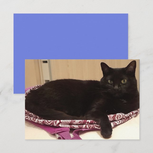 3.5" x 5" Flat Greeting Card (Front/Back)