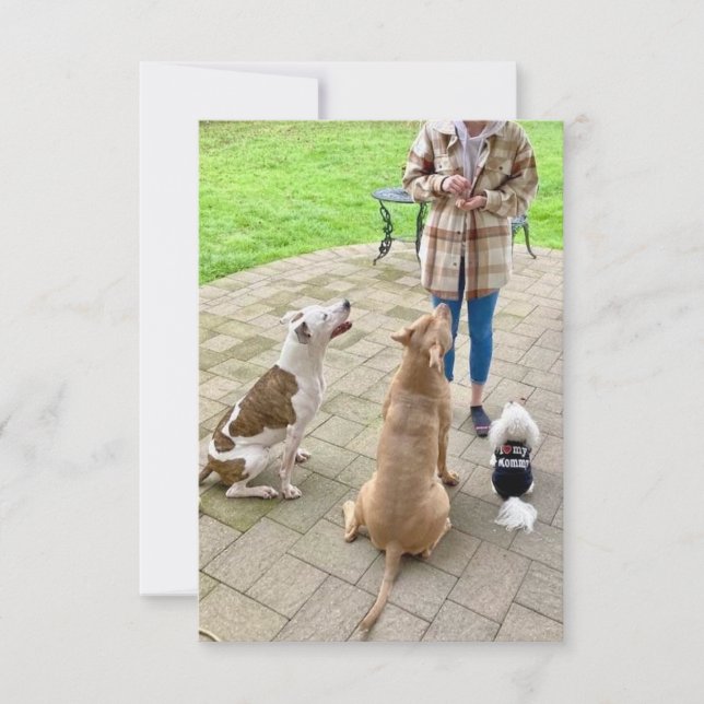 3.5" x 5" Flat Thank You Card (Front)