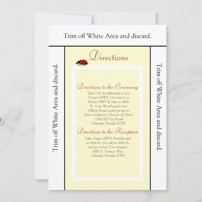 3.5x6 Directions Card Yellow and Lady Bug (Front)