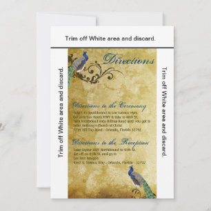 3.5x6 Directions Cartes Peacock Vintage Feathers B