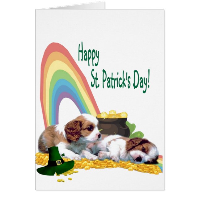 3. Adorable Cavalier King Charles Spaniel Puppies (Front)