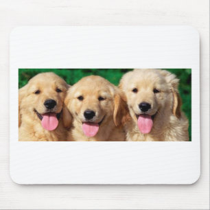 3 Amigos Mouse Pad