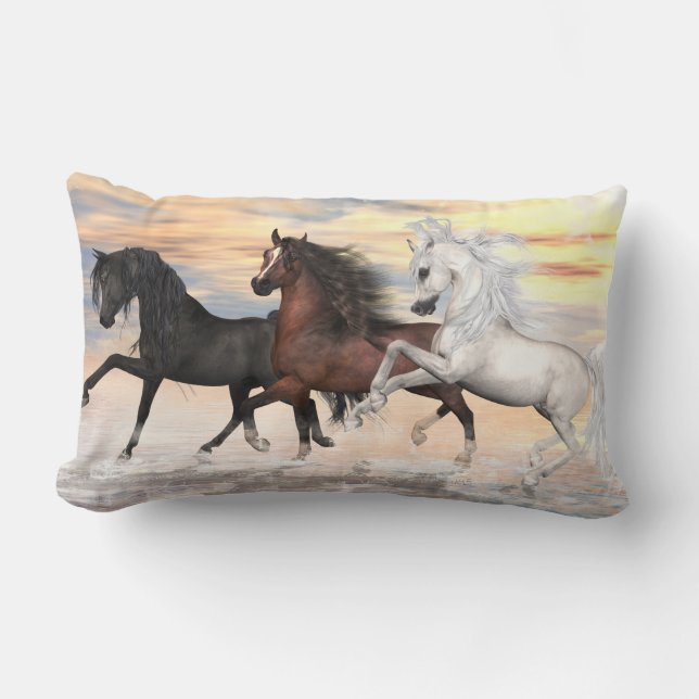 3 Arabes 2 ont dégrossi le coussin lombaire 13" (Recto)