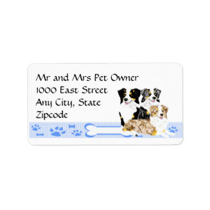 3 Australian Shepherds on Blue Gingham Label