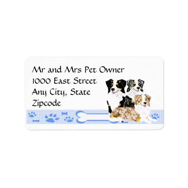 3 Australian Shepherds on Blue Gingham Label (Front)