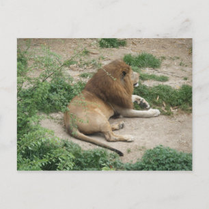 3 avril (1) Carte postale