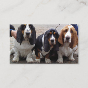 3 Basset_hound_puppies Business Card