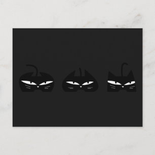 3 Black Cats in night Postcard