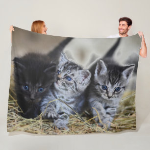 3 BLUE EYED KITTENS FLEECE BLANKET