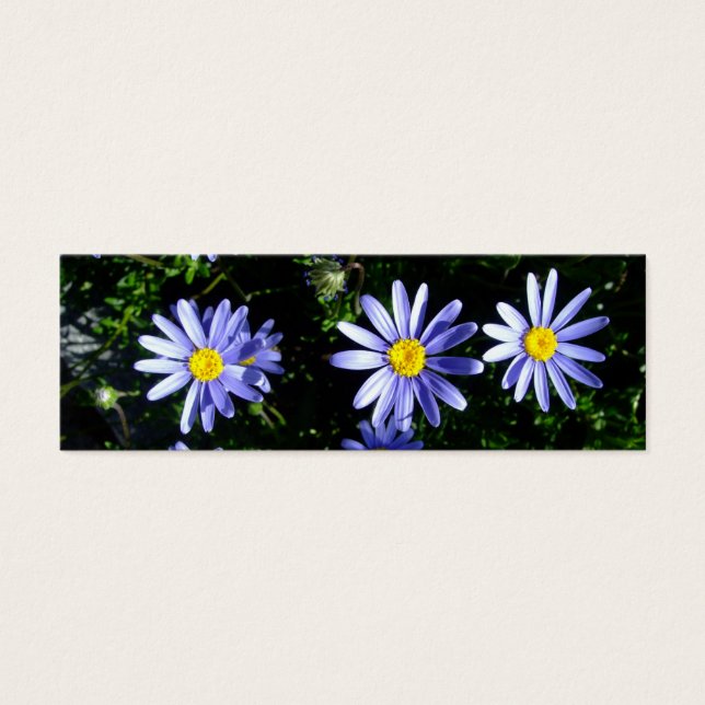3 blue suns (Front)