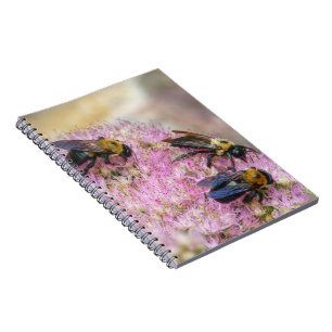 3 Bumblebees Notebook